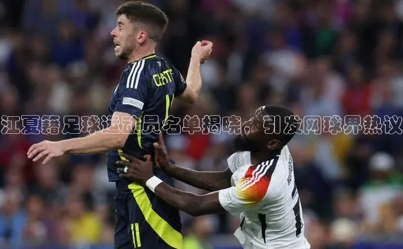 球速体育下载京东江夏籍足球运动员名单揭晓，引发网球界热议
