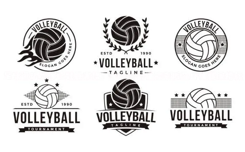 球速体育app官网入口百度健康足球运动员体检数据表格：全面分析体能素质及身体健康指标