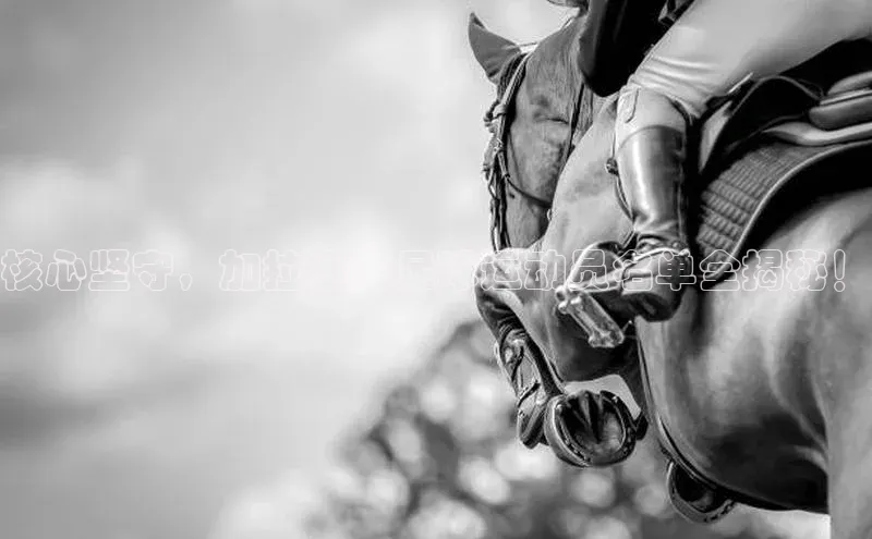 球速体育入口路畅科技核心坚守，加拉塞克足球运动员名单全揭秘！