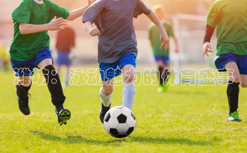 球速体育app下载官方元隆雅图潍坊：泳动魅力的体育盛事