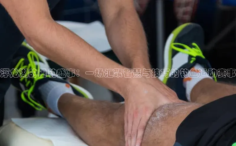 球速体育网页版登陆入口小度商城浮龙湖的垂钓盛事：一场汇聚智慧与技巧的钓鱼运动赛事