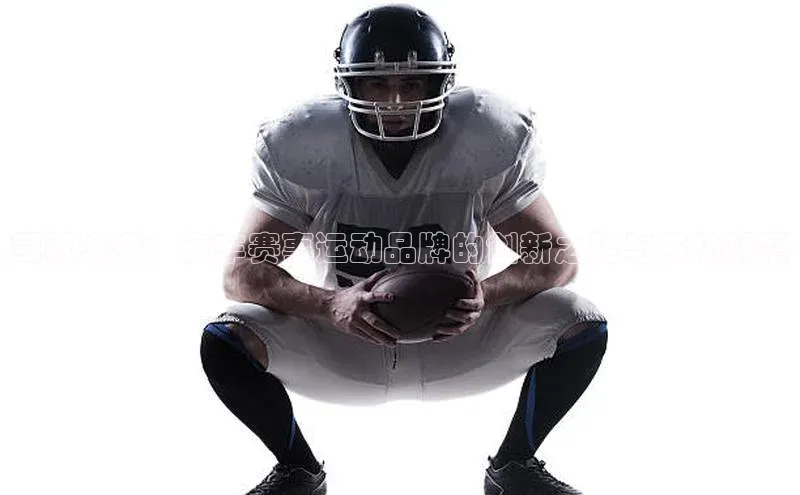 球速体育官网宇信科技驾驭未来：汽车赛事运动品牌的创新之路与市场洞察