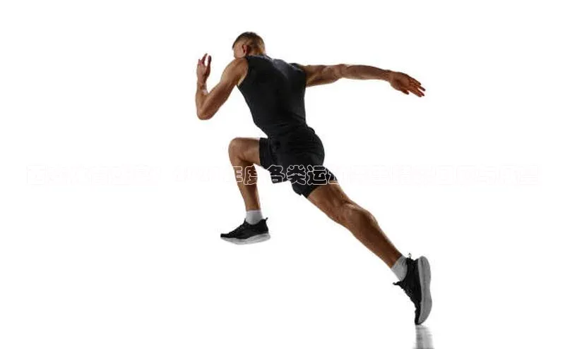 西安体育盛宴：2023年度各类运动赛事精彩回顾与展望