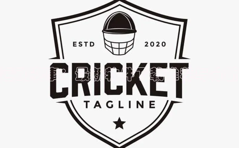 运动赛事：最新软件下载推荐与分析