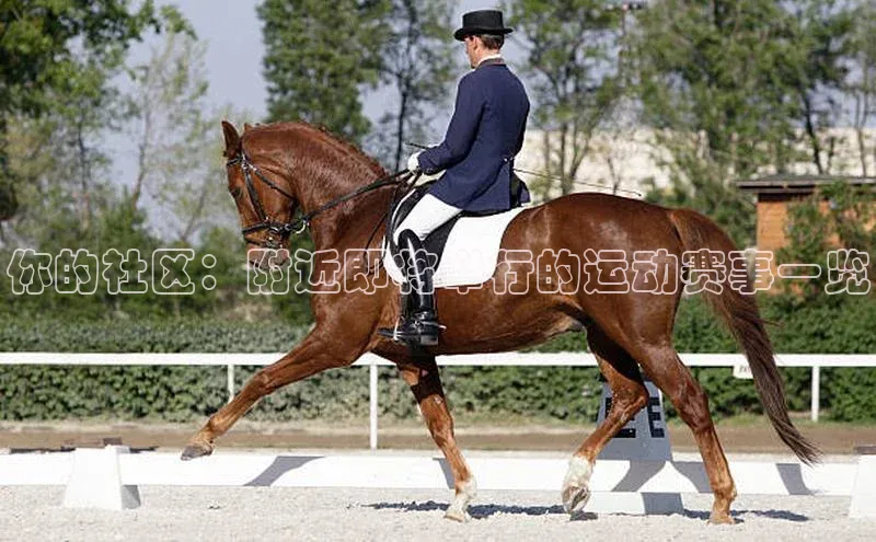 你的社区：附近即将举行的运动赛事一览