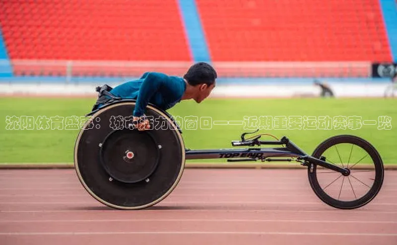 沈阳体育盛事：城市活力的窗口——近期重要运动赛事一览