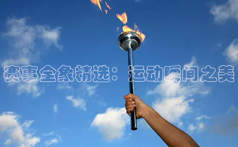 赛事全象精选：运动瞬间之美