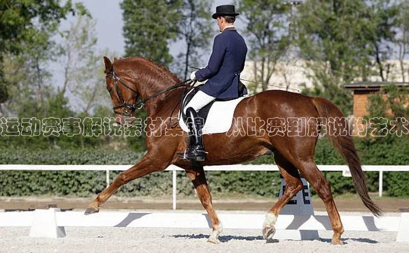 运动赛事解说素材集锦：从比赛到解说的艺术