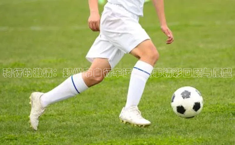 骑行的激情：郑州市自行车运动赛事精彩回顾与展望