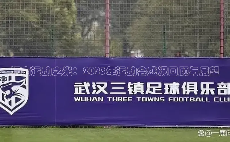 渭南运动之光：2023年运动会盛况回顾与展望