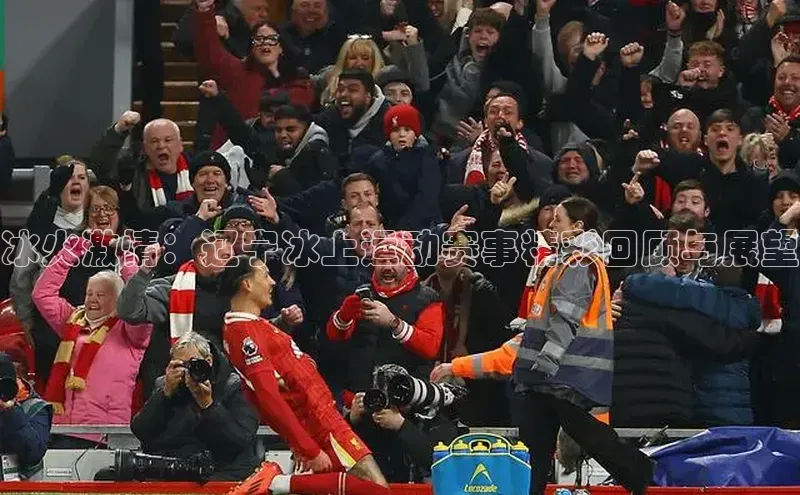 冰火激情：辽宁冰上运动赛事精彩回顾与展望