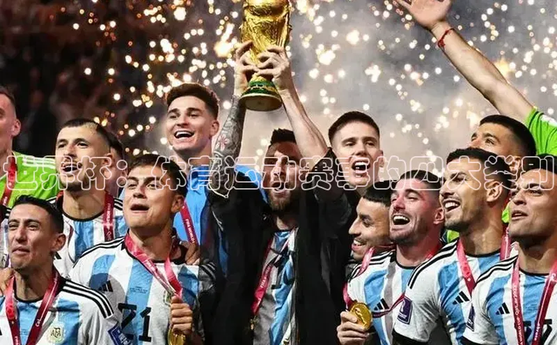 世界杯：体育运动赛事的四大类别