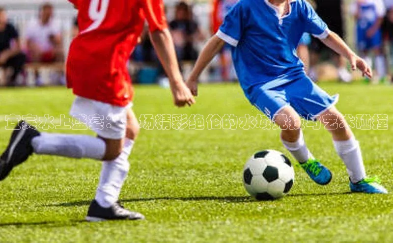 宜宾水上盛宴：一场精彩绝伦的水域竞技与艺术碰撞