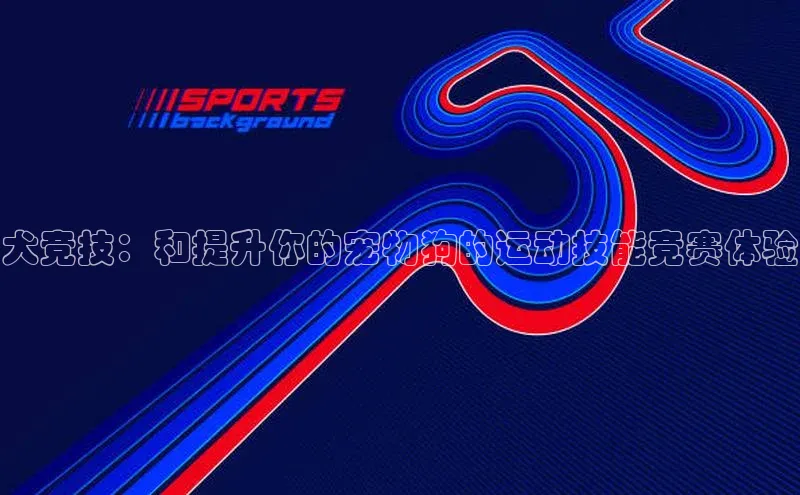 犬竞技：和提升你的宠物狗的运动技能竞赛体验