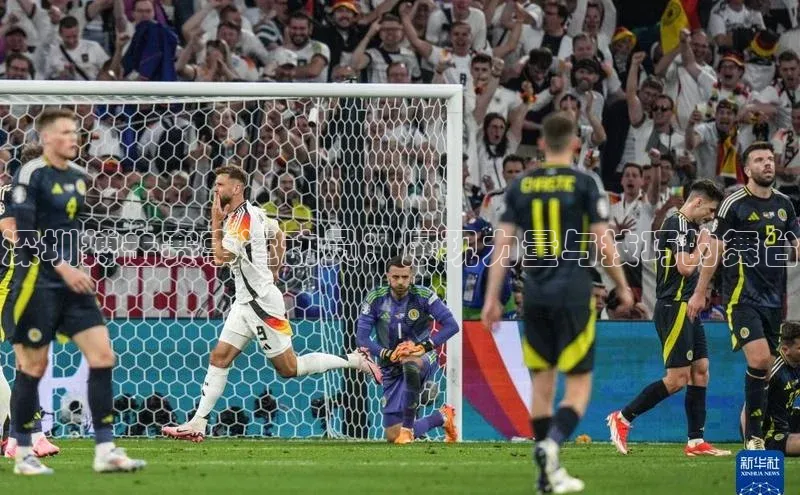 深圳搏击赛事运动员：展现力量与技巧的舞台