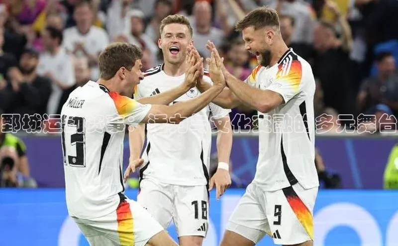 鄄城运动赛事：活力与文化交融的多元舞台