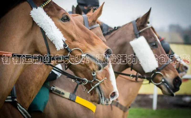 球速体育app下载官方