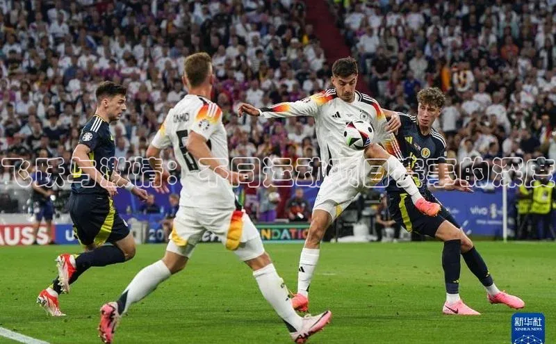 飞跃与激情：不同运动项目赛事的深度