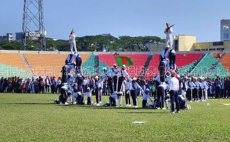 引领全球视角：打造卓越的运动赛事外宾接待方案