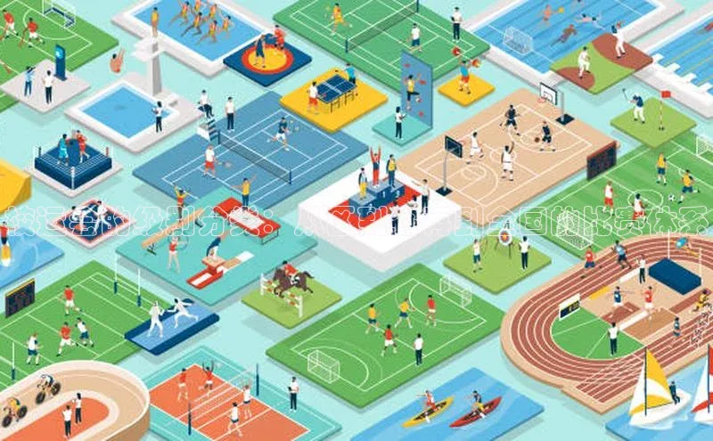 校运会的级别分类：从区到省再到全国的比赛体系
